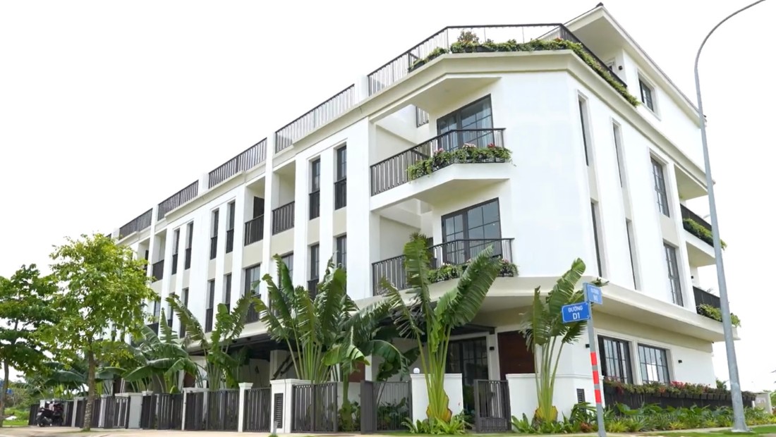 Tin tức